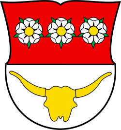 CHE Düdingen COA
